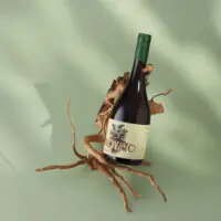 Vinho Novato Alvarinho - Revvo - 750ml