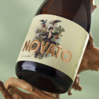 Vinho Novato Alvarinho - Revvo - 750ml