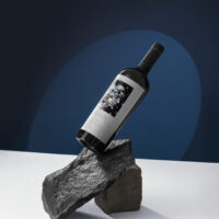 CaptureOne13139 - monica motta Vinho Tinto Ellos - Revvo - 750ml