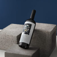 CaptureOne13161 - monica motta Vinho Tinto Ellos - Revvo - 750ml
