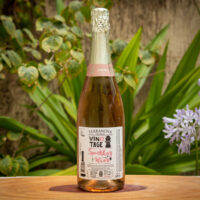 3c333acb25fa178c16d985d37f5cac18.jpg Espumante Brut Rosé - Vintage - 750ml