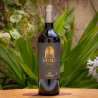 Vinho Larentis Domo Rubrum Vinho Larentis Domo Rubrum