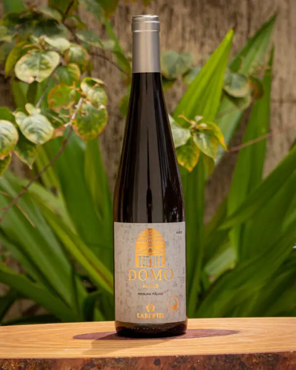 Vinho Larentis Domo Albus