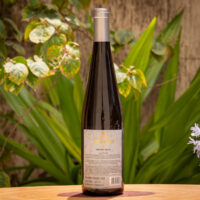 Vinho Larentis Domo Albus