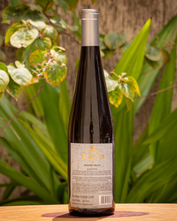 Vinho Larentis Domo Albus