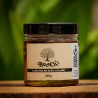 Castanha de Baru com Mel - BeeCo - 250g