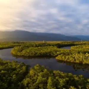 Amazonia