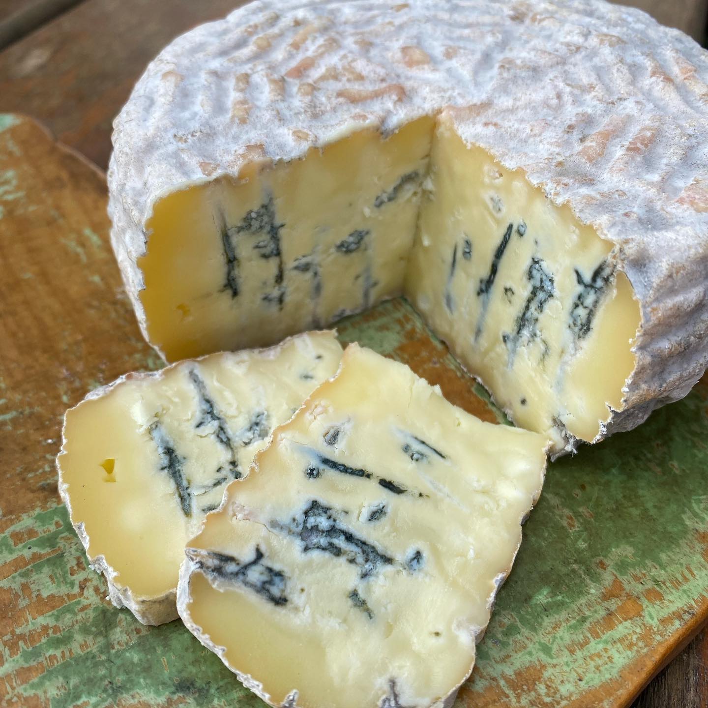 As chaminés azuis do fungo Penicillium roqueforti no queijo artesanal paulista