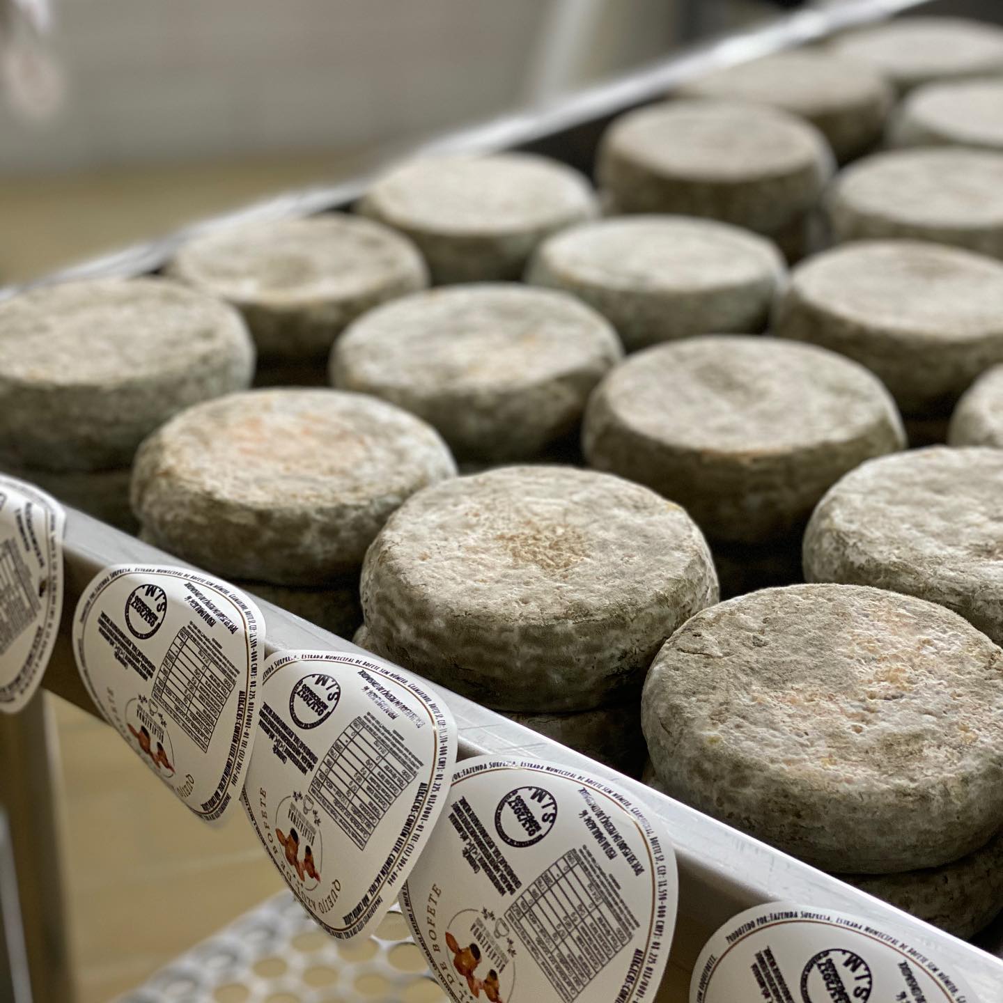 Salas de maturação artesanal na Queijaria BelaFazenda em Bofete, SP