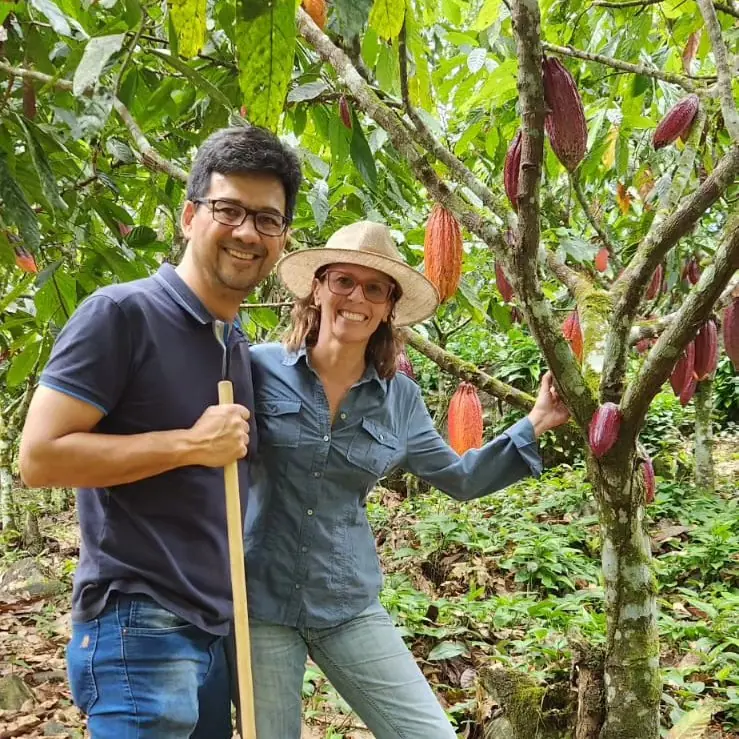 Drageado de Macadâmia com Chocolate 65%  - Mestiço Chocolates - 100g -2