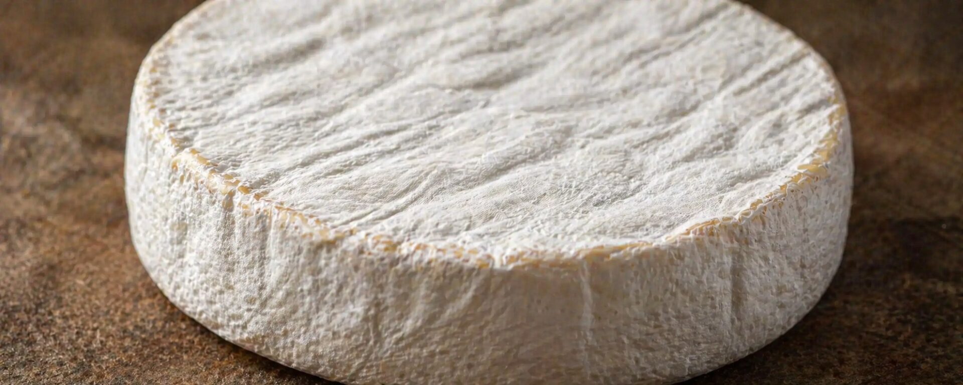 A CASCA DO QUEIJO BRIE É COMESTÍVEL?