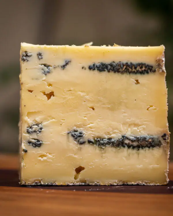 Corte frontal Queijo Azul Pardinho Artesanal mostrando veios Penicillium Roqueforti