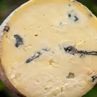 Close-up Queijo Azul Pardinho detalhe dos veios e casca dourada rendilhada