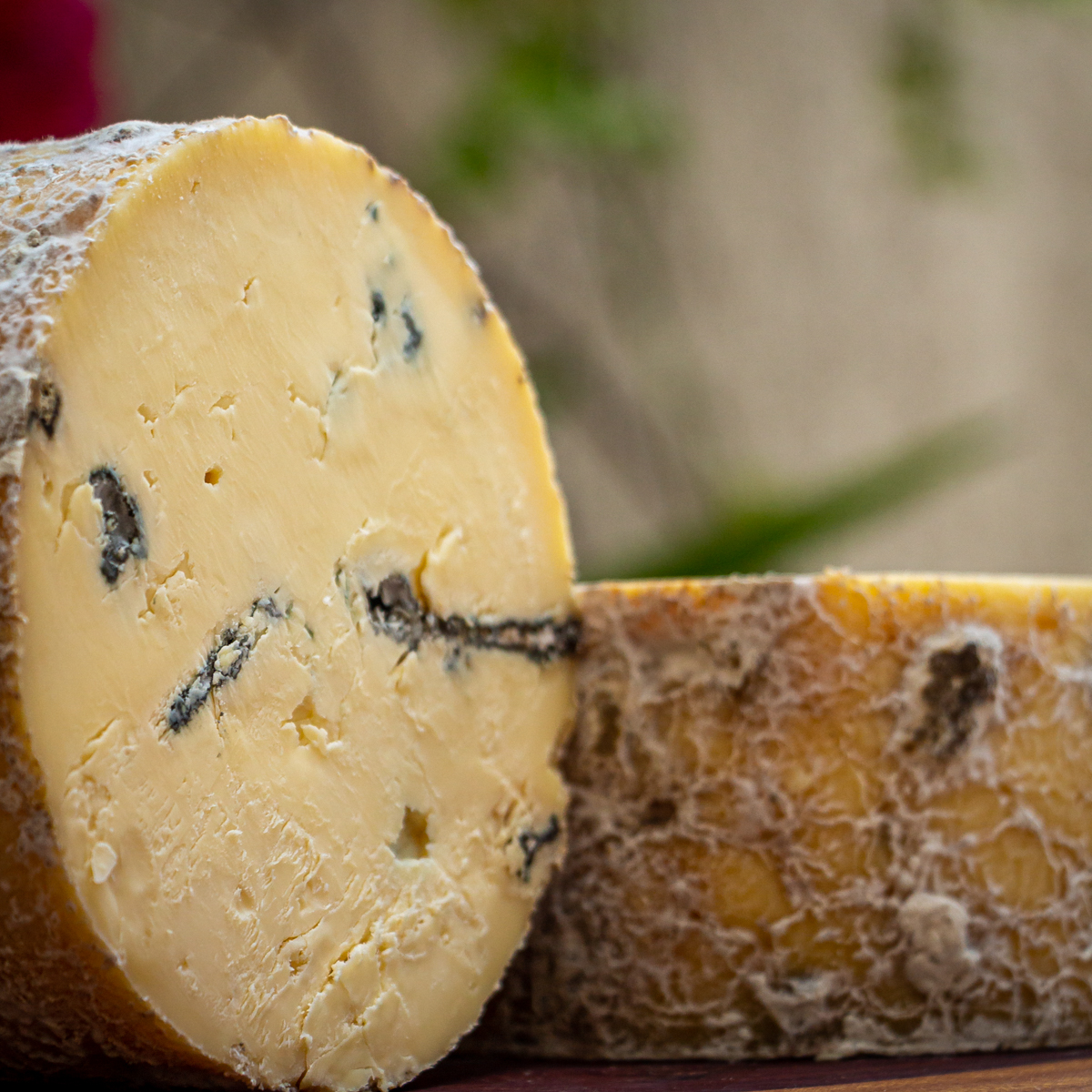 Queijo Azul de Pardinho peça inteira cortada ao meio com casca natural maturada