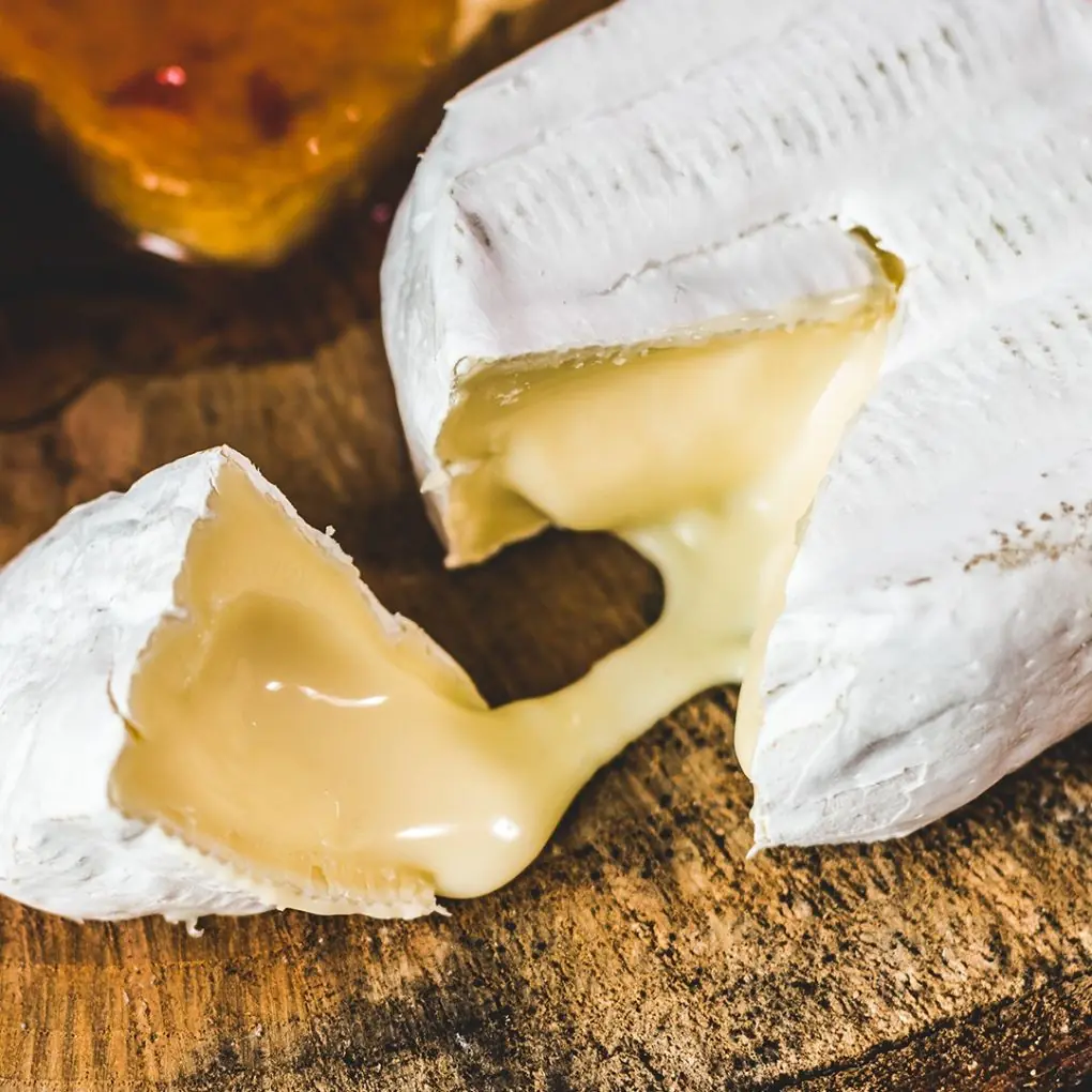Queijo Tomme Vaudoise: O Queijo Suíço que Só Existe no Brasil