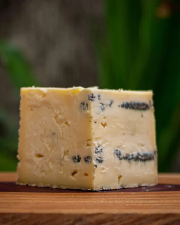 Pedaço Queijo Azul de Pardinho com veios azuis sobre tábua de madeira Pedaço Queijo Azul de Pardinho com veios azuis sobre tábua de madeira