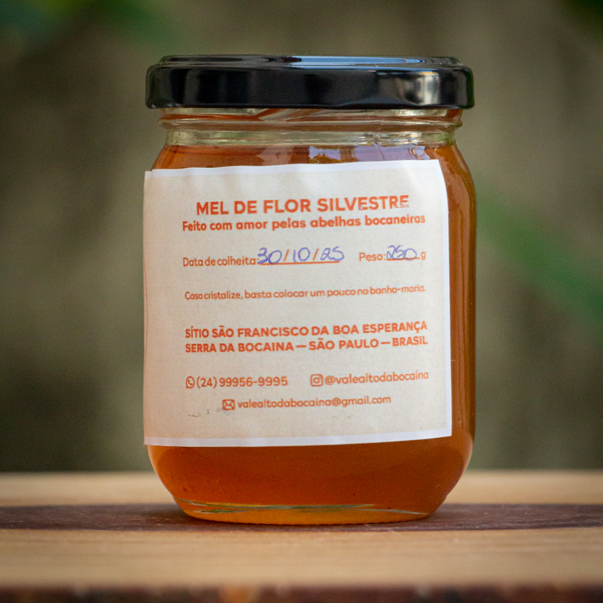 Mel Silvestre Puro da Serra da Bocaina - Vale Alto (250g)