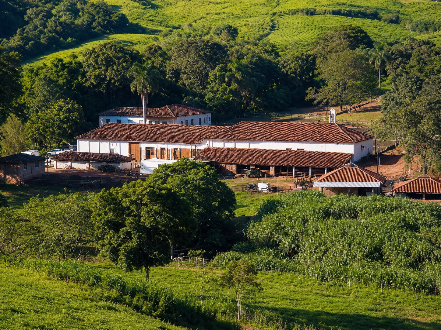 Produtores - 3