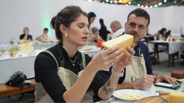 Jurada realizando análise sensorial tátil e visual de textura e aroma em fatia de queijo artesanal