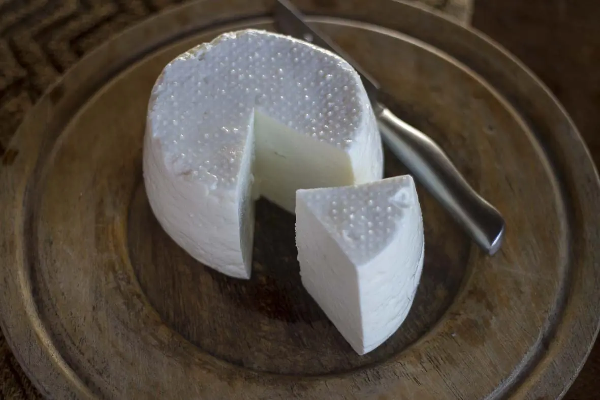 Queijo Fresco de Ovelha - Queijaria Rima - 230g